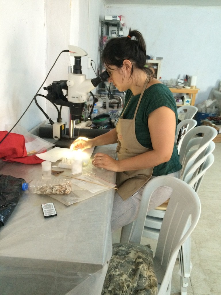 Nicole treating an iron artefact under magnification